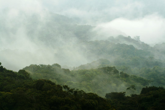 misty mountain