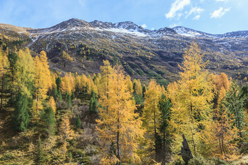 Fototapeta na wymiar Alp view