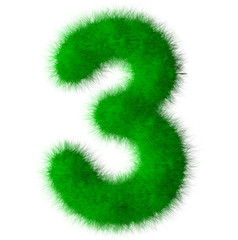 Green grass font number 3,eco font isolated on white background