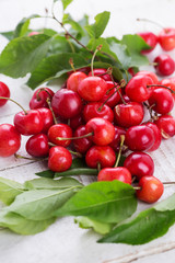 Fresh cherries