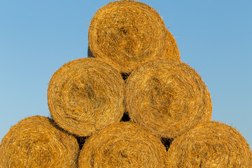 Piled hay bales on a field against blue sky
