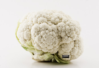 cauliflower and evolution