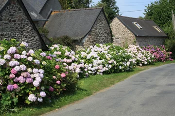 Rolgordijnen le charme des maisons aux hortensias © krislizz