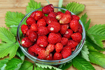 Wild strawberry