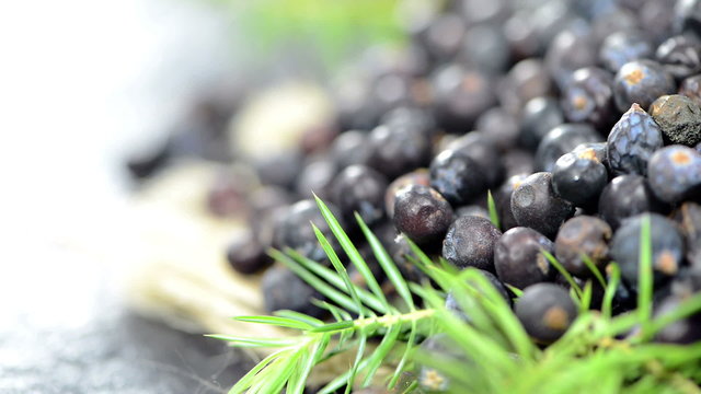 Portion of Juniper Berries (loopable)