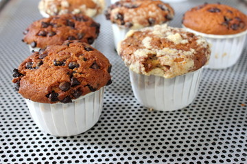 Freshly baked chocolate chip muffin