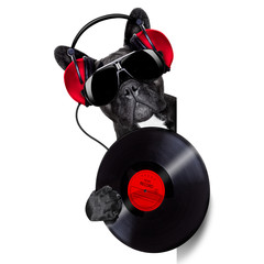 dog record vinyl