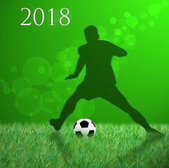 Fototapeta premium Fussball 2018