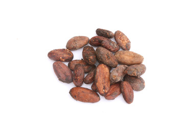 fèves de cacao