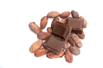 fèves de cacao