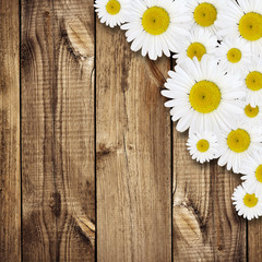Obraz premium Daisy flowers arrangement