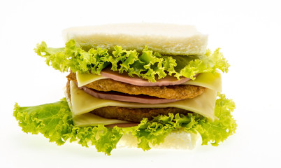Chicken sandwich on a white background