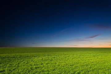 green field in the night