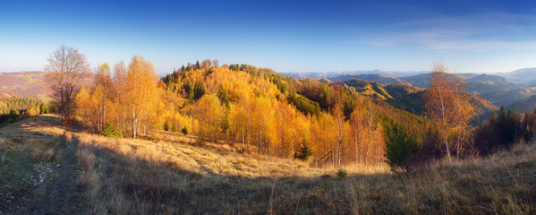 Autumn panorama mountain forest