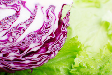 Obraz premium sliced ​​cabbage closeup