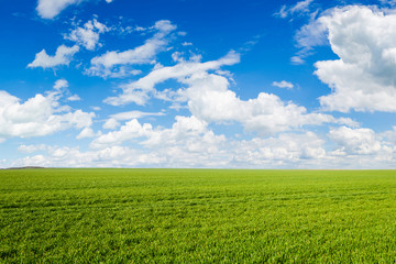 green field background