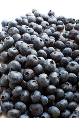 Freshly picked blueberries