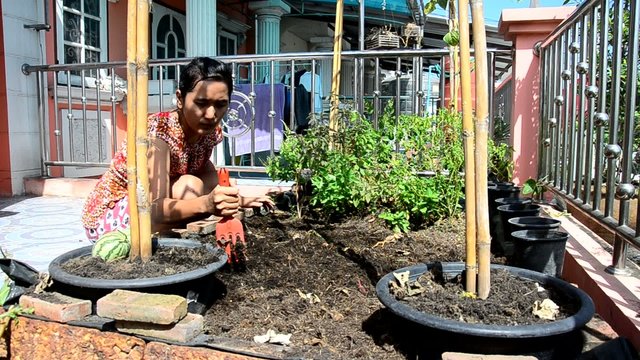 Thai woman gardening at vegetable garden in House