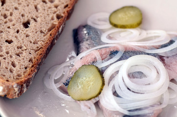 Matjesfilet mit Zwiebeln