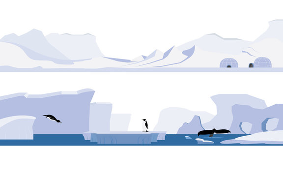 Set of arctic and antarctica