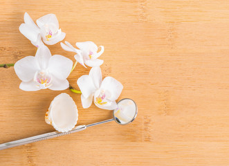 Dentistry Concept  with white orchid, shell and dental tools