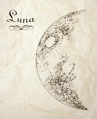 Vintage moon drawing