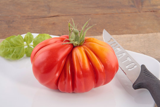L&ouml;wenherz Tomate