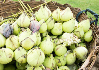 Lotus in basket work