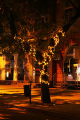 Luminous garland on tree in street