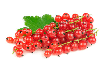 Redcurrants Isolated on White Background