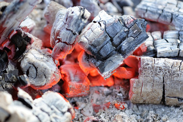 Red Hot Wood Embers Close-Up