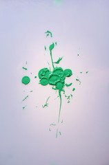 Fototapeta premium farb klecks; farben spritzer; grün