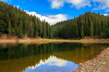 Fototapeta na wymiar crystal clear lake near the pine forest in mountains