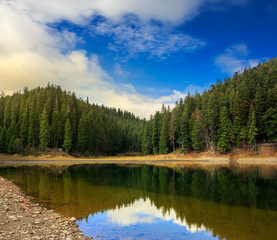 Fototapeta na wymiar crystal clear lake near the pine forest in mountains at sunrise