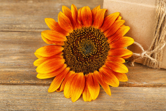 Sunflowers with present box on wooden background