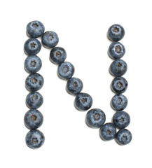 Alphabet letter N arranged from highbush blueberry isolated