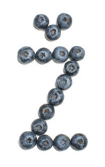 Lithuanian letter Ž arranged from highbush blueberry isolated