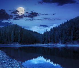 crystal clear lake near the pine forest in  mountains at night