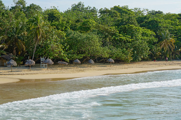 Palm leaf thatch umbrellas on a sandy beach