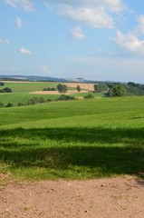 Fototapeta na wymiar Hügellandschaft im Sommer