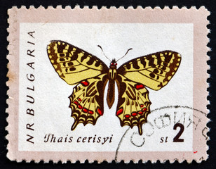 Fototapeta na wymiar Postage stamp Bulgaria 1962 Eastern Festoon, Butterfly