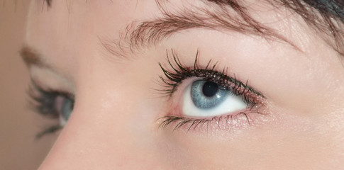Fototapeta premium female eyes