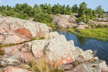 Lichens on Granite Rocks in Killarney Provincial Park Canada