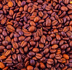 natural coffee beans