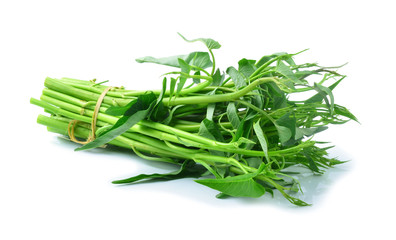 Morning glory green vegetable
