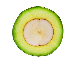 avocado on white background