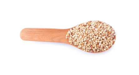 Sorghum rice