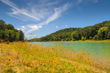 Panther Creek