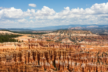 Rim Trail Hoodoos in Array