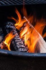 Campfire